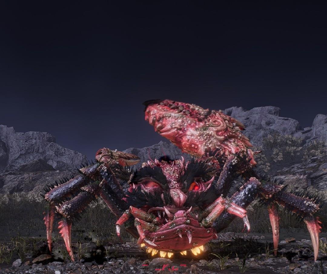 《仁王3》贝凯加尼介绍-第2张-单机攻略-GASK