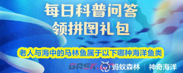 老人与海中的马林鱼属于以下哪种海洋鱼类-第1张-手游攻略-GASK