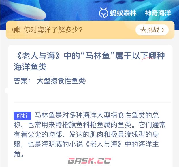 老人与海中的马林鱼属于以下哪种海洋鱼类-第2张-手游攻略-GASK