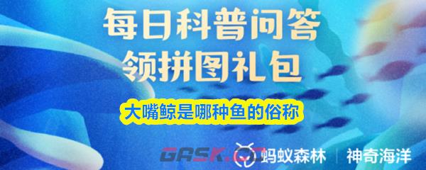 大嘴鲸是哪种鱼的俗称