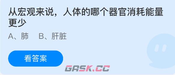 从宏观来说人体的哪个器官消耗能量更少