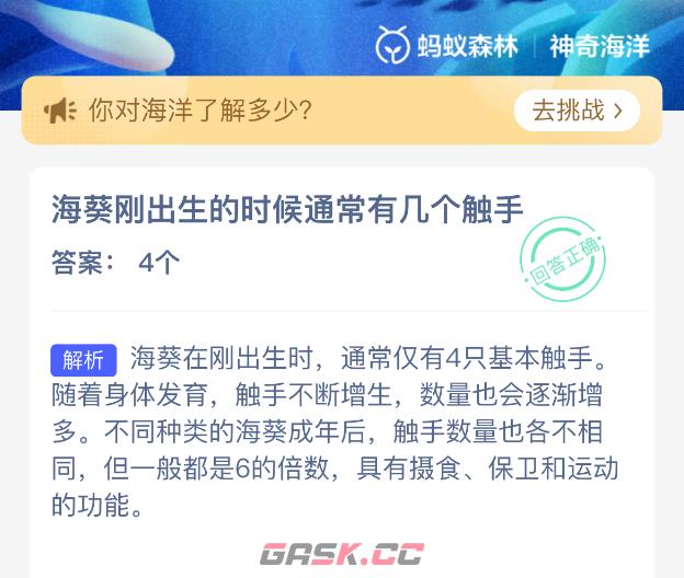 海葵刚出生的时候通常有几个触手-第2张-手游攻略-GASK