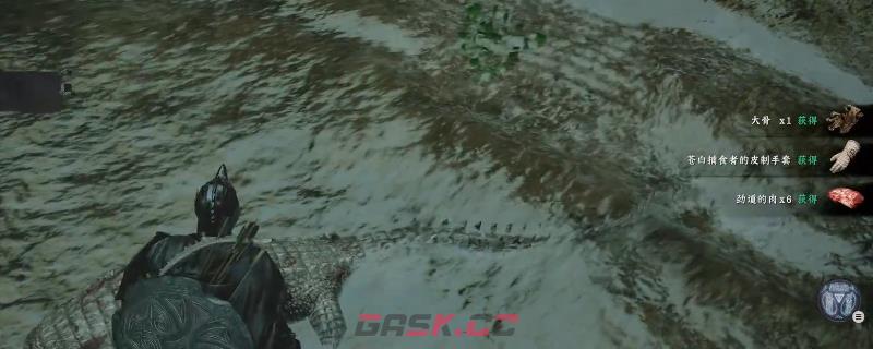 《红色沙漠》苍白捕食者手套获得方法介绍-第1张-单机攻略-GASK