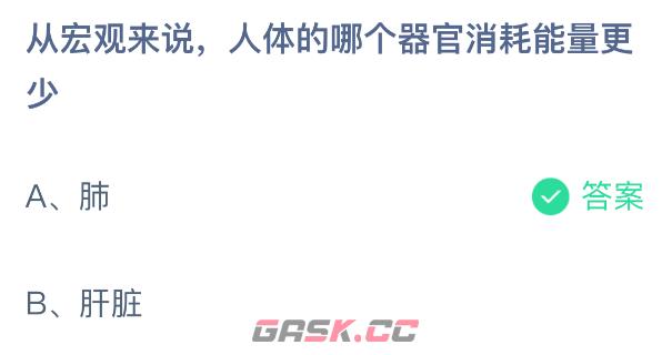 从宏观来说人体的哪个器官消耗能量更少-第2张-手游攻略-GASK