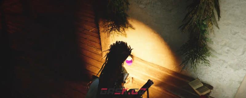 《红色沙漠》亮紫色染料获得方法介绍-第1张-单机攻略-GASK