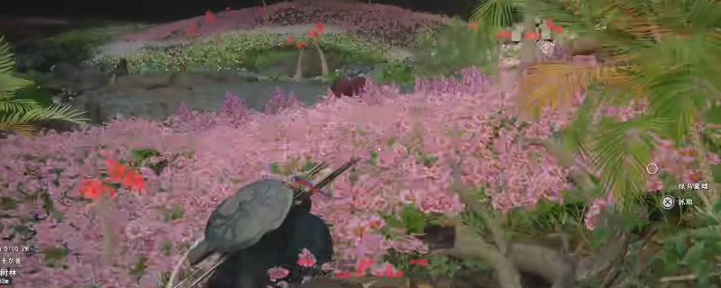 《红色沙漠》传奇马卡莫拉和劲绿草获得方法介绍-第1张-单机攻略-GASK