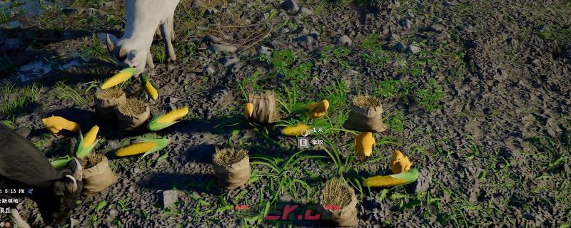 《红色沙漠》快速养殖攻略分享-第1张-单机攻略-GASK