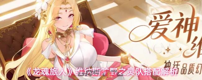 《龙魂旅人》维纳斯旷野之灵队搭配解析