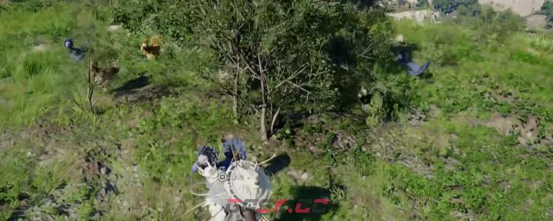 《红色沙漠》瞄准命运的弦挑战任务做法介绍-第1张-单机攻略-GASK