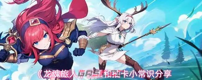 《龙魂旅人》重置和抽卡小常识分享