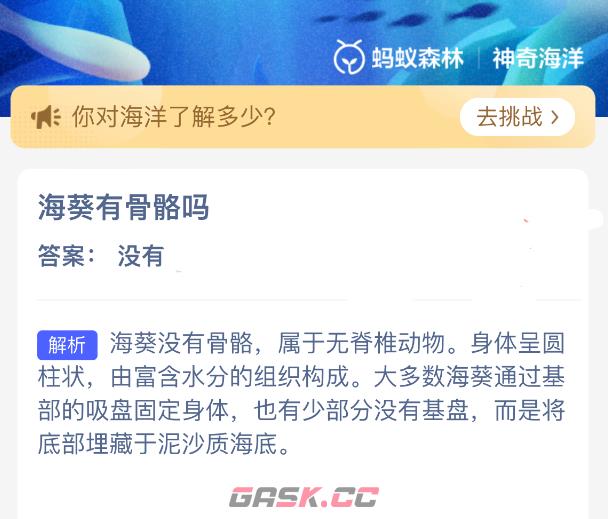 海葵有骨骼吗-第2张-手游攻略-GASK
