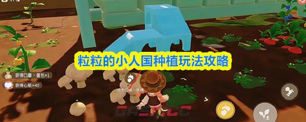 粒粒的小人国种植玩法攻略-第1张-手游攻略-GASK
