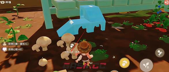 粒粒的小人国种植玩法攻略-第14张-手游攻略-GASK