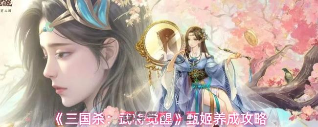 《三国杀：武将觉醒》甄姬养成攻略