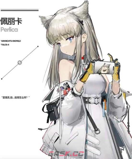 《明日方舟：终末地》佩丽卡配队攻略-第3张-手游攻略-GASK