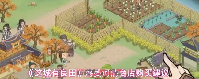 《这城有良田》海晏河清商店购买建议