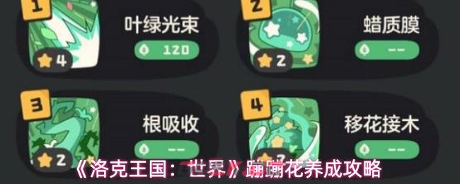 《洛克王国：世界》蹦蹦花养成攻略