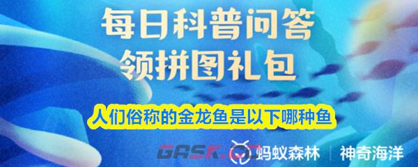 人们俗称的金龙鱼是以下哪种鱼