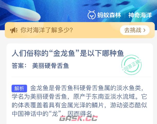 人们俗称的金龙鱼是以下哪种鱼-第2张-手游攻略-GASK