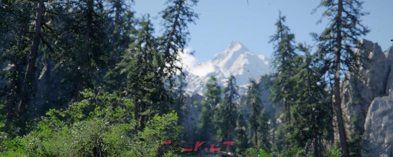 《红色沙漠》探索技巧分享-第1张-单机攻略-GASK