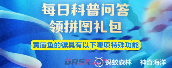 黄唇鱼的镖具有以下哪项特殊功能