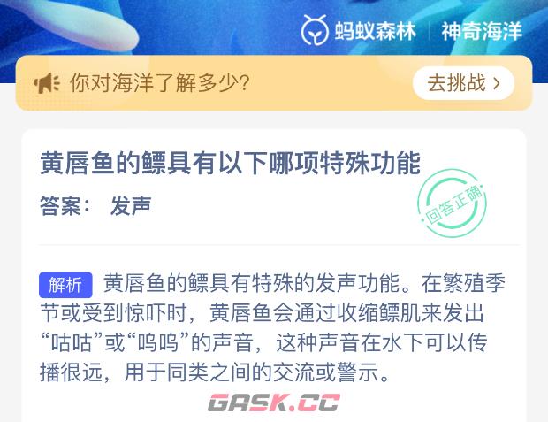 黄唇鱼的镖具有以下哪项特殊功能-第2张-手游攻略-GASK