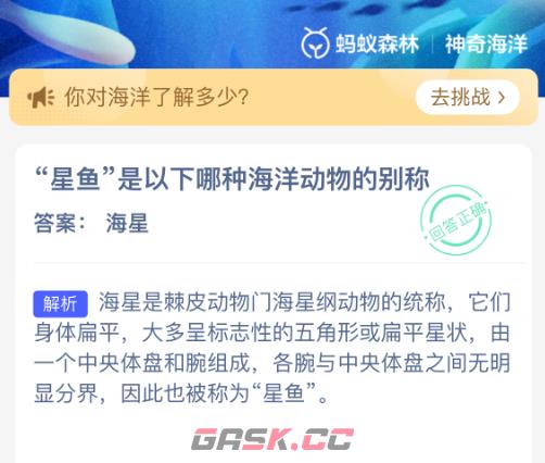 星鱼是以下哪种海洋动物的别称-第2张-手游攻略-GASK