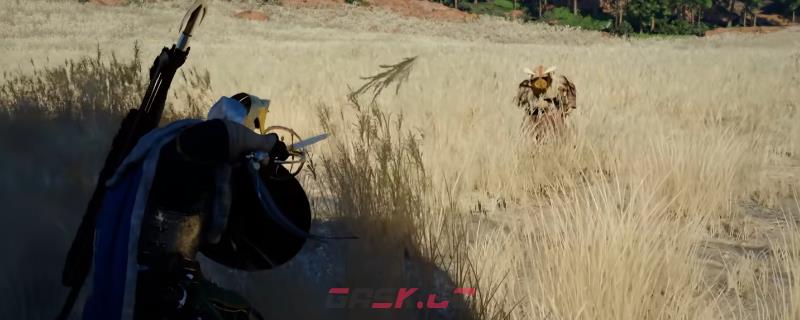 《红色沙漠》芦苇恶魔打法技巧介绍-第1张-单机攻略-GASK