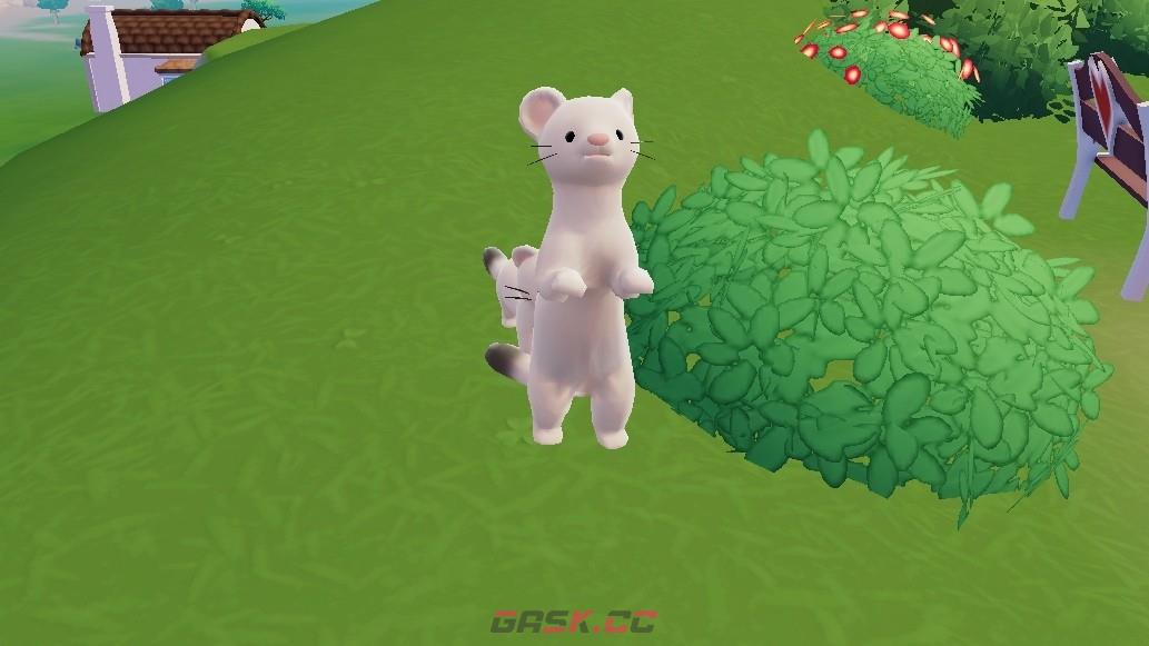 《心动小镇》雪貂介绍-第6张-单机攻略-GASK