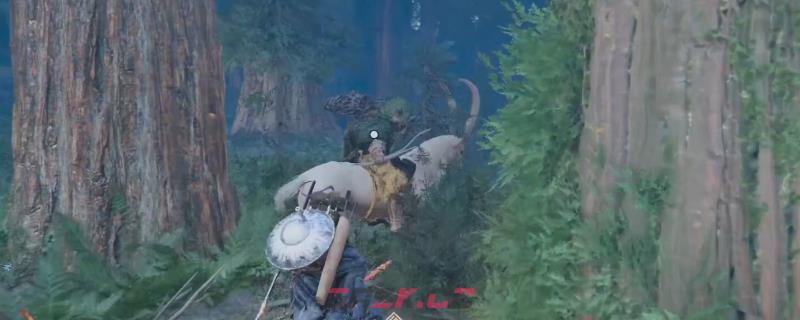 《红色沙漠》影叶眠弓获得方法分享-第1张-单机攻略-GASK