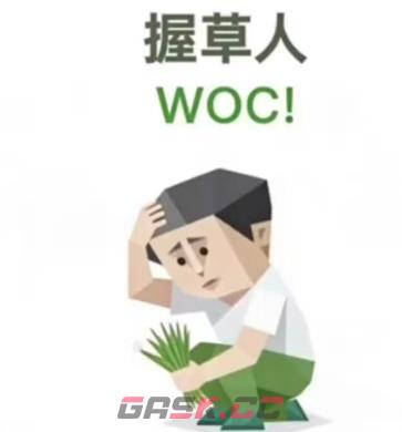 SBTI测试握草人（WOC!）人格介绍-第2张-手游攻略-GASK