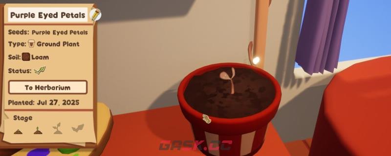 《Garden in》拍照成就解锁指南-第1张-单机攻略-GASK