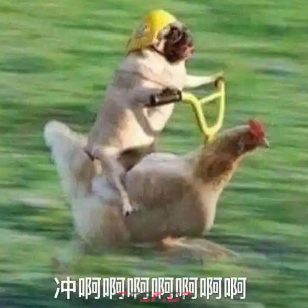 乱涂彩世界伊邪娜美培养攻略-第11张-手游攻略-GASK