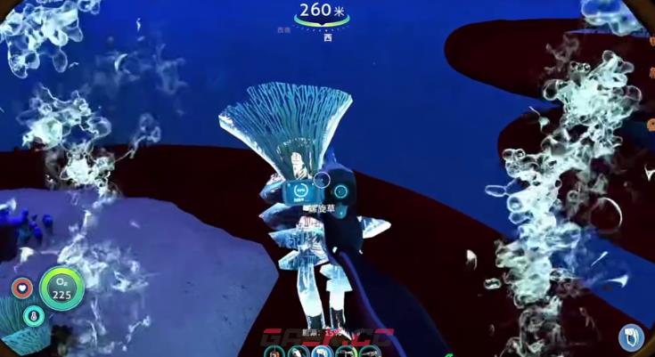 《深海迷航冰点之下》螺旋草切割物采集攻略-第4张-手游攻略-GASK