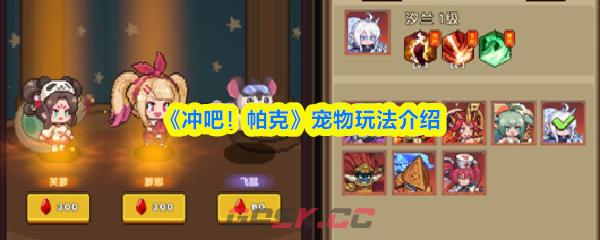 《冲吧！帕克》宠物玩法介绍