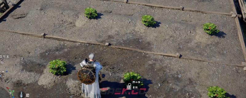 《红色沙漠》获得大量野山参方法介绍-第1张-单机攻略-GASK