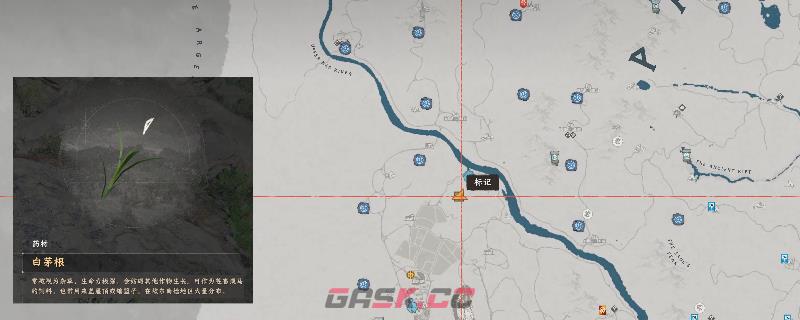 《红色沙漠》白茅根采集点具体位置介绍-第1张-单机攻略-GASK