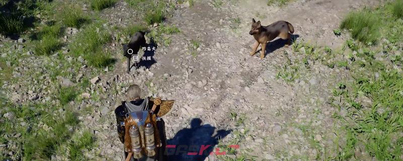 《红色沙漠》无限刷大量神器方法介绍-第1张-单机攻略-GASK