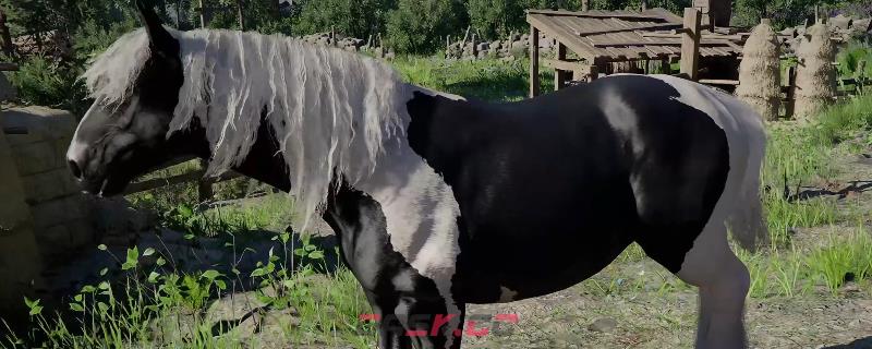 《红色沙漠》埃兰特里马获得方法介绍-第1张-单机攻略-GASK