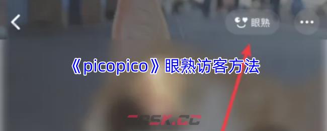 《picopico》眼熟访客方法