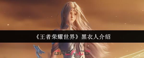 《王者荣耀世界》黑衣人介绍