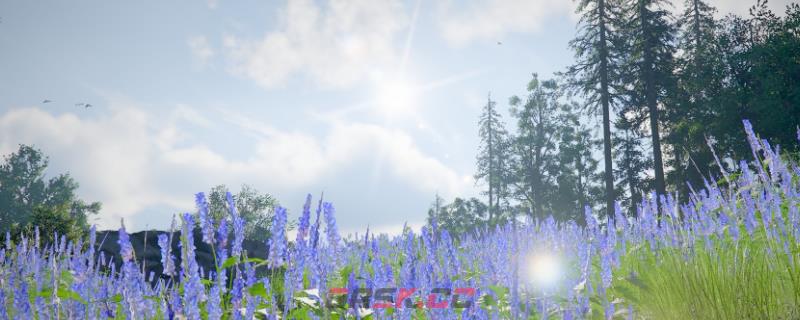 《红色沙漠》采石手钻获得攻略介绍-第1张-单机攻略-GASK