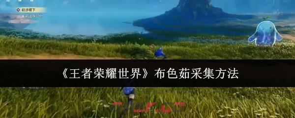 《王者荣耀世界》布色茹采集方法