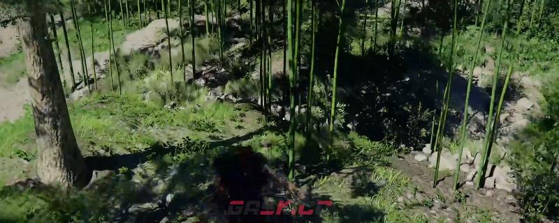 《红色沙漠》树枝剑竹枝剑获得方法介绍-第1张-单机攻略-GASK