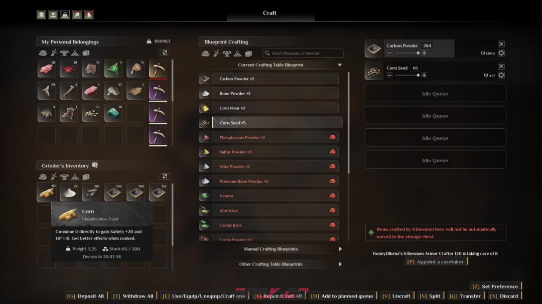 《灵魂面甲》前期游戏小贴士介绍-第3张-单机攻略-GASK