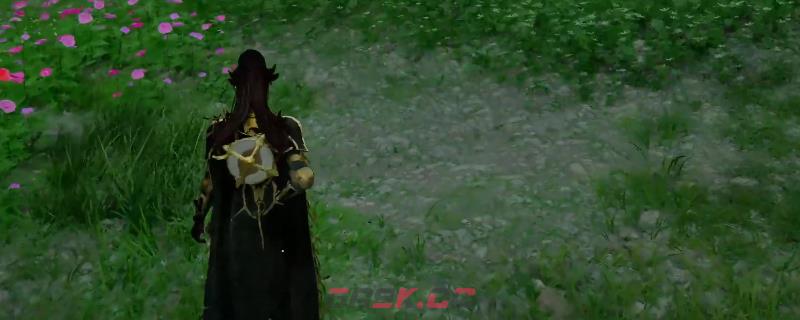 《红色沙漠》暗黑执行者套装获得方法介绍