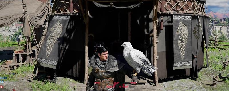 《红色沙漠》灰狼套装获得方法介绍