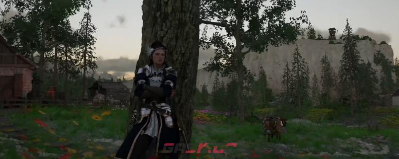 《红色沙漠》王国正式骑士套装获得方法介绍-第1张-单机攻略-GASK