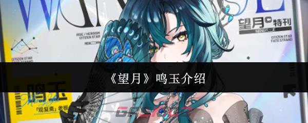 《望月》鸣玉介绍