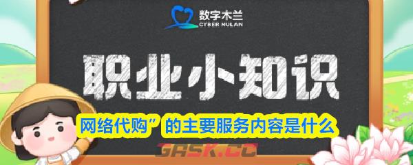网络代购的主要服务内容是什么-第1张-手游攻略-GASK